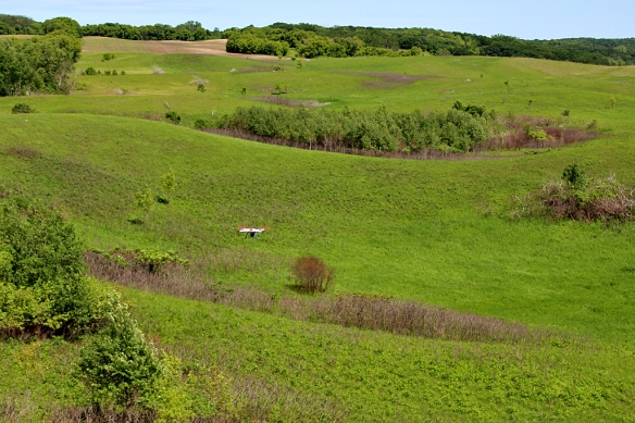 Ordway prairie was purchased with a gift from Katherine Ordway and was the first area added to The Nature Conservancy's prairie conservation program in 1977.