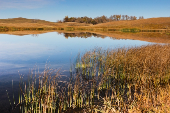 sheepberry fen-prairie pothole lake-